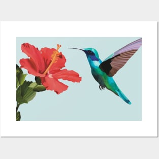 Flying Humming Bird Hibiscus flower Posters and Art